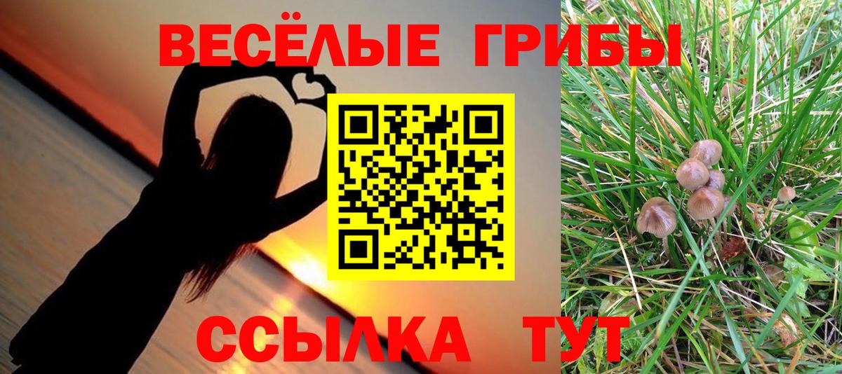 Галлюциногенные грибы Magic Shrooms  Вход с VPN  Псилоцибиновые грибы мухоморы  Стерлитамак 